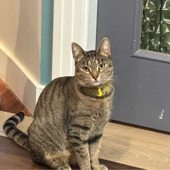 Meet your Posher, CN - Picture 1 of 1